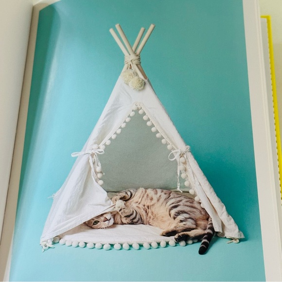 For Cats Only Pascale Weber Hatje Cantz Hardcover Cat Lovers Gift Book - Picture 4 of 13